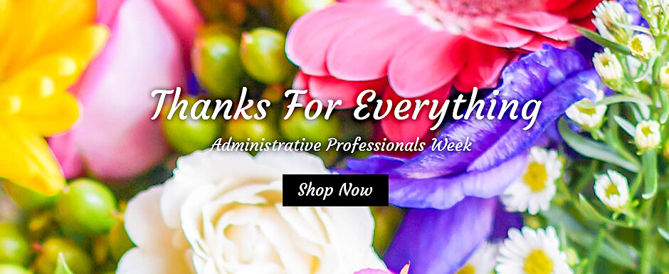 Admin Professionals Banner