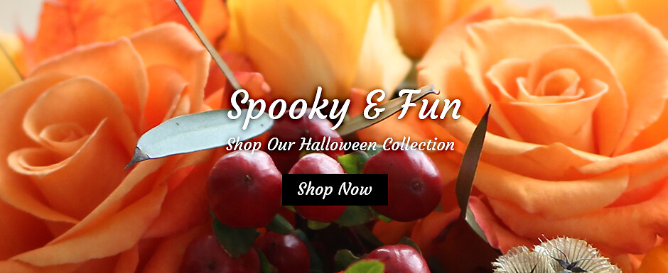 Halloween Banner