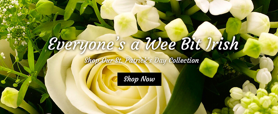 St. Patrick's Day Banner